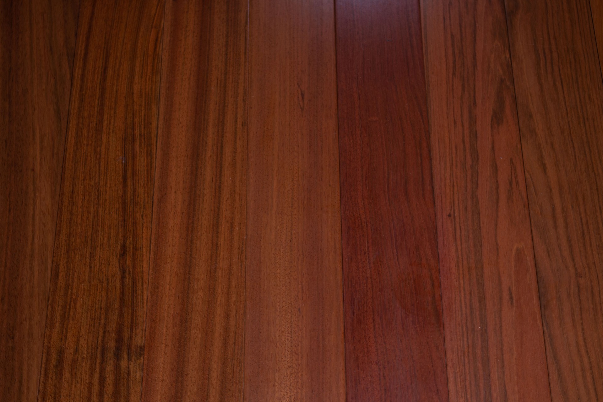 Rainforest Jatoba